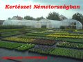 Kertészeti kisegítők Németországba