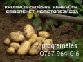 Krumpli  és zöltségszedésére keresünk embereket Németország