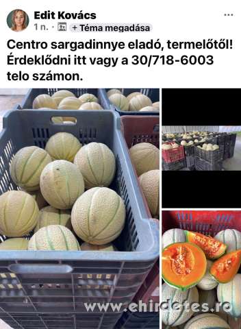 Centro sargadinnye elado Centro sargadinnye elado
