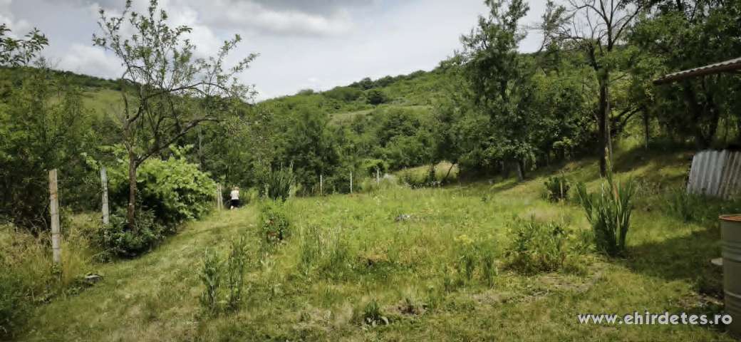 Eladó hétvégi faház és telek Galambodon Eladó hétvégi faház és telek Galambodon