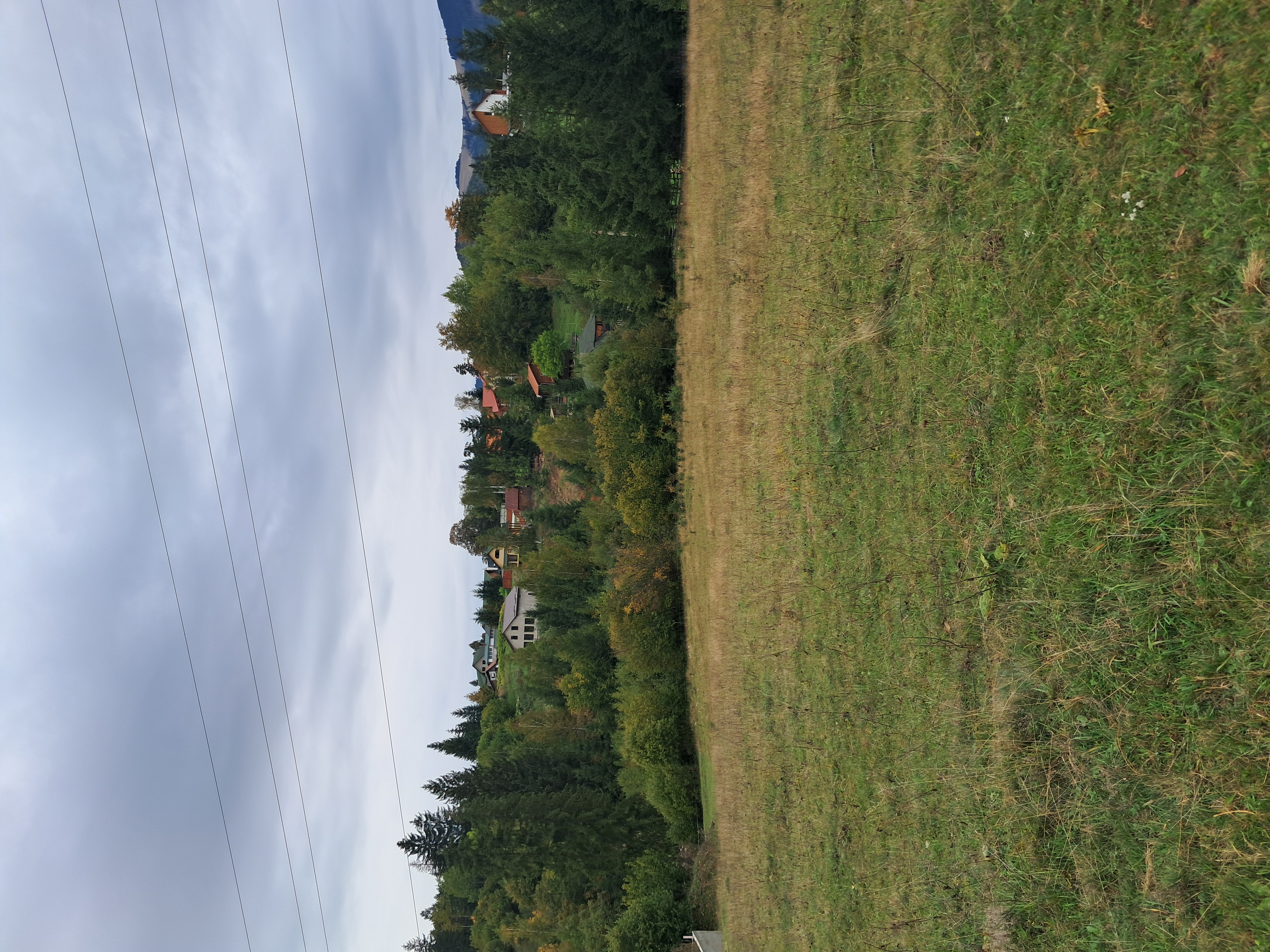 Eladó Marosfőn csendes környezetben 2887 m2 összterület Eladó Marosfőn csendes környezetben 2887 m2 összterület