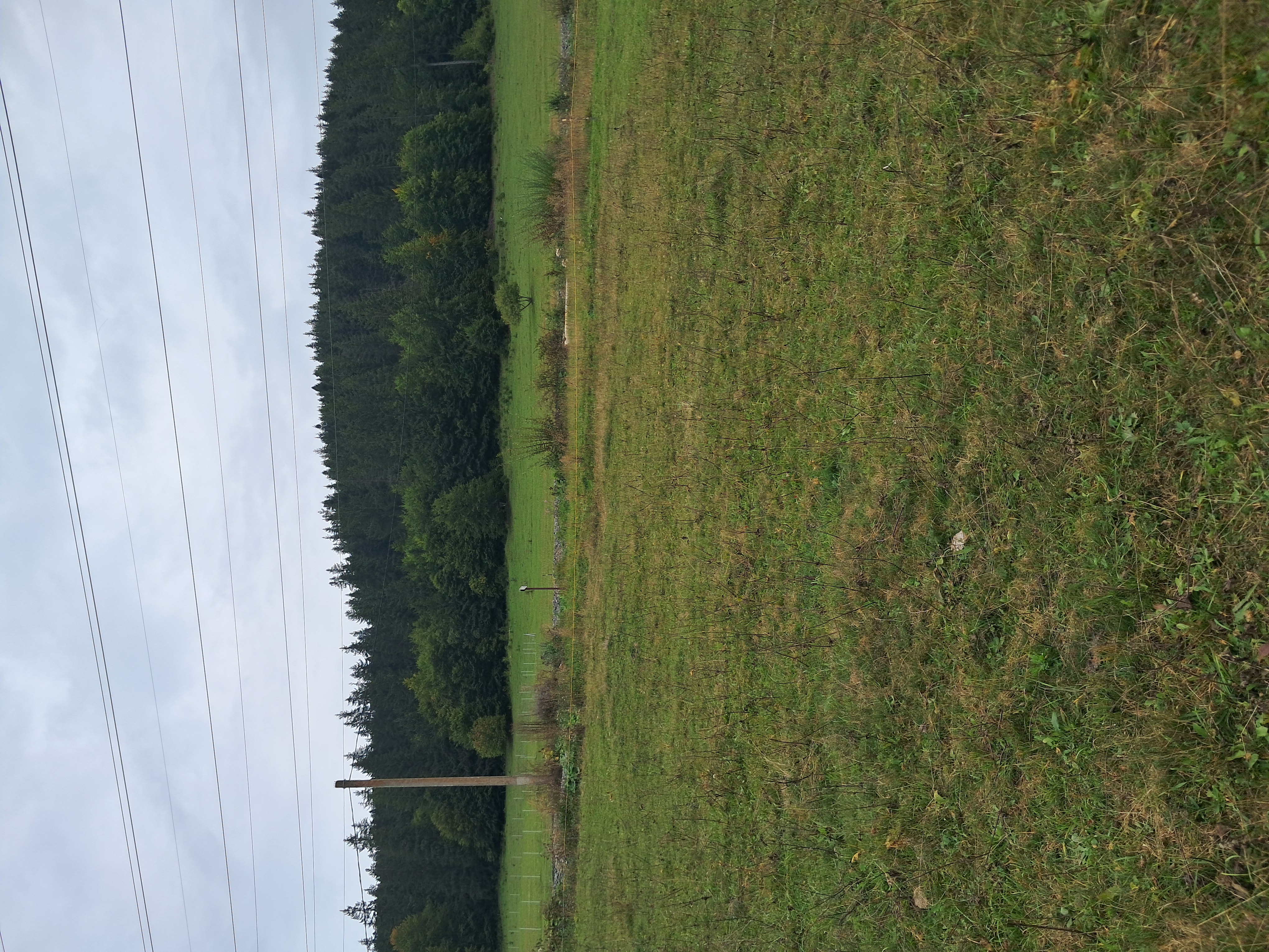 Eladó Marosfőn csendes környezetben 2887 m2 összterület Eladó Marosfőn csendes környezetben 2887 m2 összterület