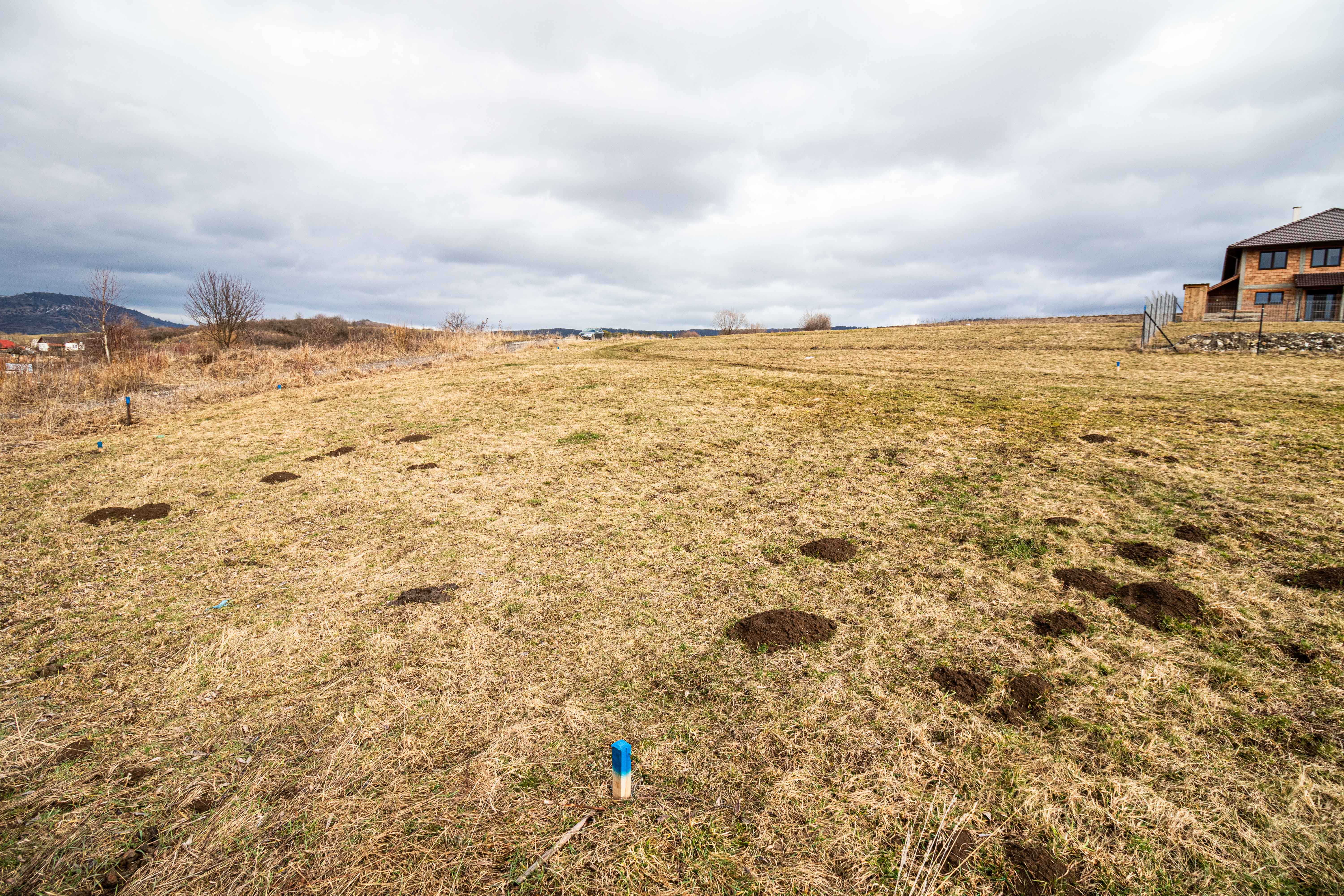 ELADÓ Székelyudvarhelyen 1313 négyzetméter beltelek ELADÓ Székelyudvarhelyen 1313 négyzetméter beltelek