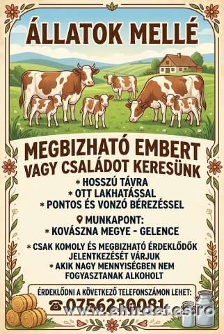 Embert vagy csaladot keresunk Embert vagy csaladot keresunk