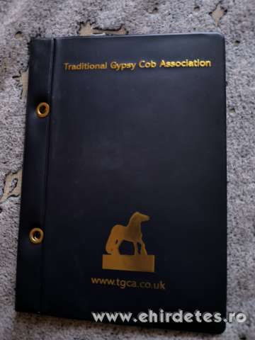 Eredeti ír tinker ló áron alul Eredeti ír tinker ló áron alul