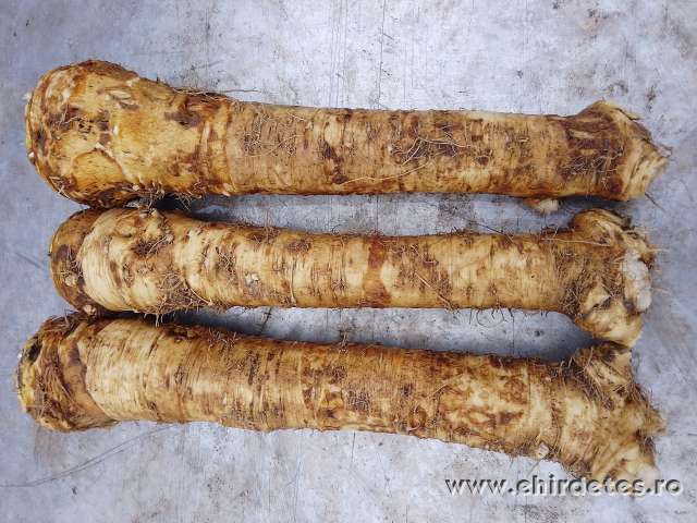 Hrean torma Hrean torma