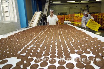 Csokigyár ausztria munkalehetőség