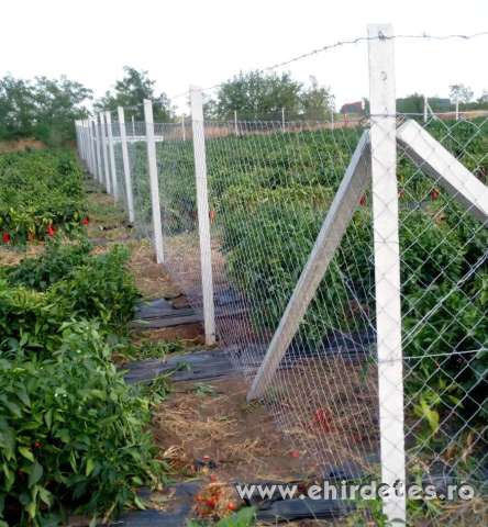 Kerítés kivitelezés építés minőségi anyagokkal vadháló drótháló kapu Kerítés kivitelezés építés minőségi anyagokkal vadháló drótháló kapu