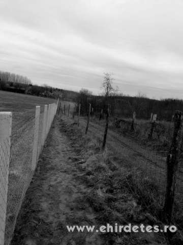 Kerítésépítés szuper áron vadháló drótháló drótfonat oszlop kapu Kerítésépítés szuper áron vadháló drótháló drótfonat oszlop kapu