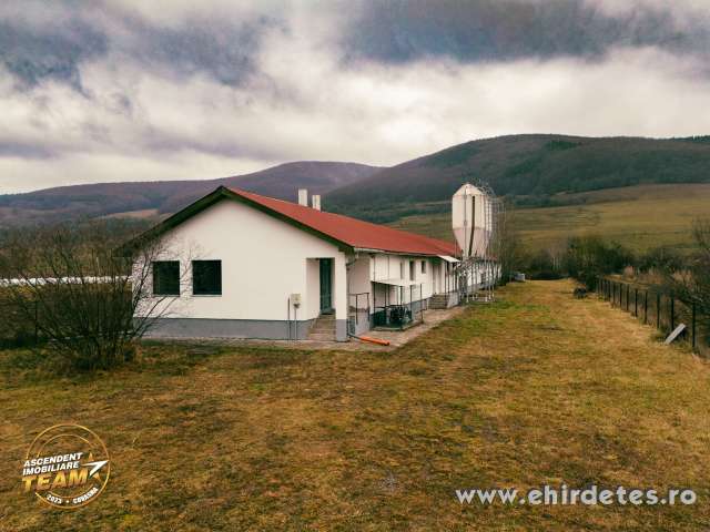 Nyulfarm Malnason Nyulfarm Malnason