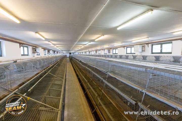 Nyulfarm Malnason Nyulfarm Malnason