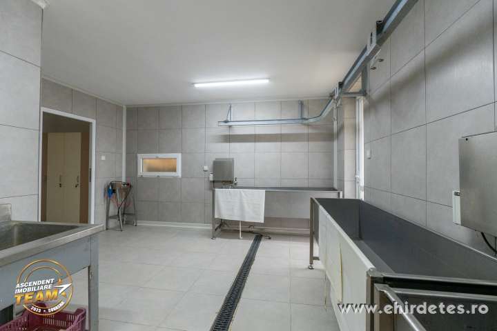 Nyulfarm Malnason Nyulfarm Malnason