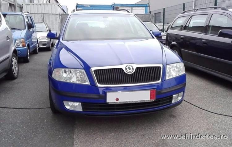 nagy skoda könyv es