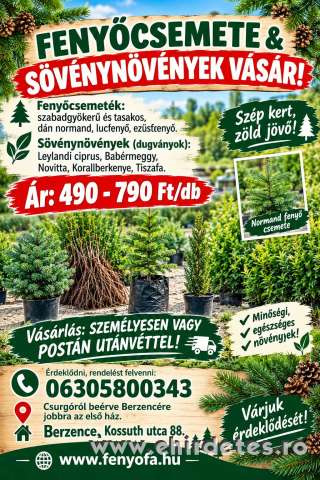 Tasakos és szabadgyökerű fenyőcsemeték eladók Tasakos és szabadgyökerű fenyőcsemeték eladók