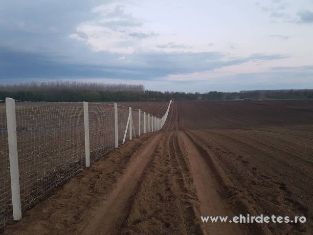 vadháló kerítésépítés kerítéspanel kerítés építés drótháló oszlop