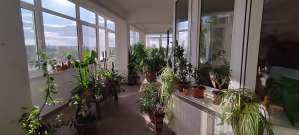 Bályokon eladó kiválóan nagy lakás