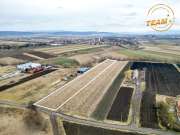 Beltelek Aldobolyban