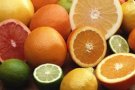Citrusfélék csomagolása és válogatása