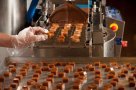 Csokoládé gyár  1500 1700 euró