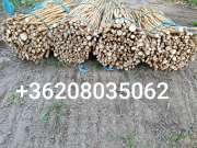 Kiváló minőségű Torma Dugvány