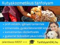 Kutyakozmetikus OKJs tanfolyam Budapesten