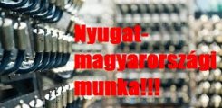 Magyarországi munkalehetőség Győr és környéke