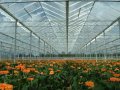 Növényházak üvegházak