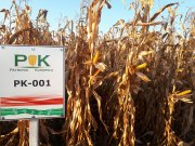 PK001 Organikus Kukorica előrendelési Akció