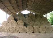 Szénabála Homoród