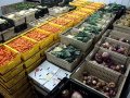 Zöldség és gyümölcs lerakat  1400 euró