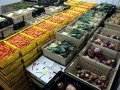 Zöldség és gyümölcs lerakat 1400 1600 euró