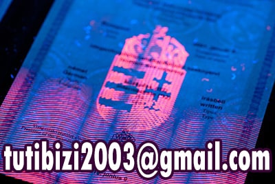 Tutibizi